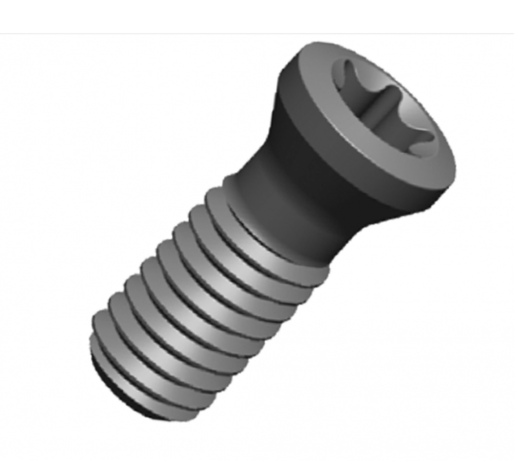 290031300 SCREW FOR HIGH FEED/SHOULDER MILL CMV QTV